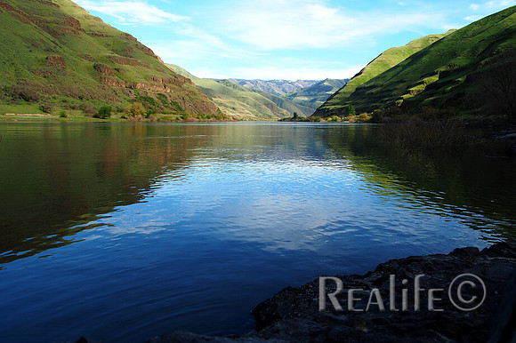 IMG00245_F
