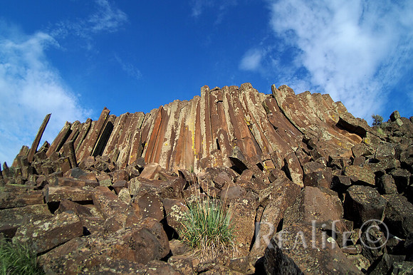 IMG00302_F
