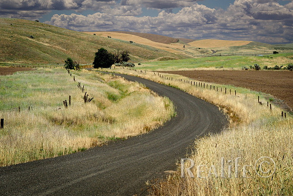 IMM00438_FSml