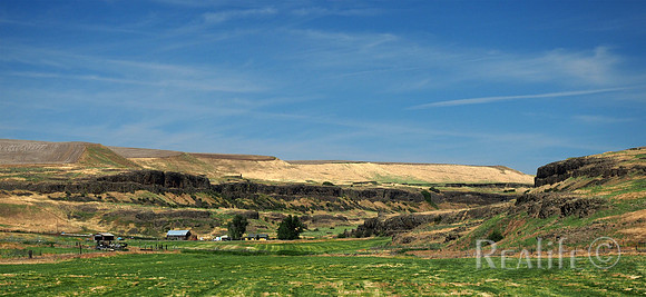 IMM00416_FSml