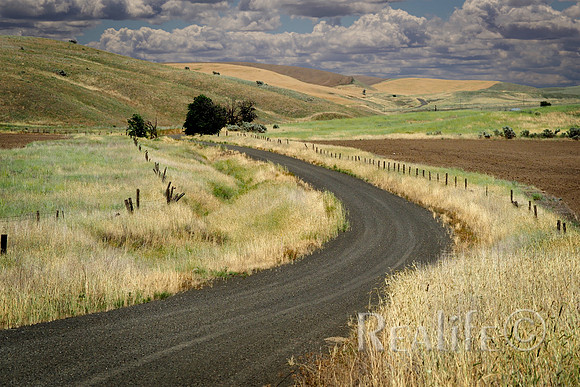 IMM00438_FSml