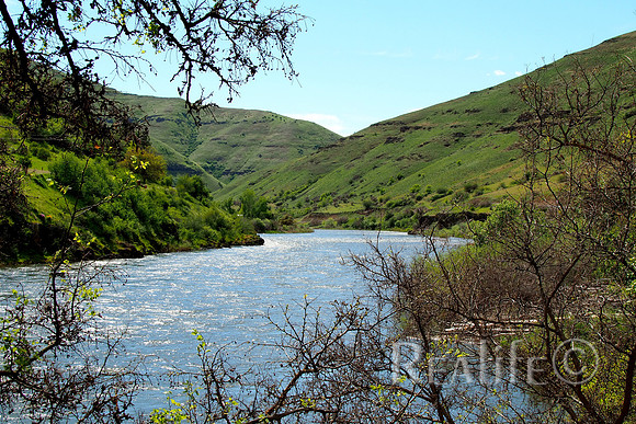 IMG00110_FSmall
