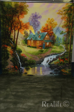 20 Cabin in Fall Woods