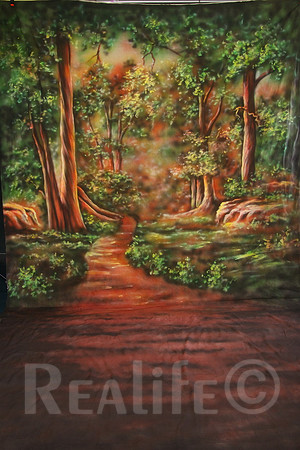 3 Rain Forest