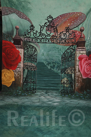 3 Wonderland 2