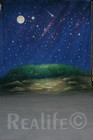 8 Stary Night with Moon 2