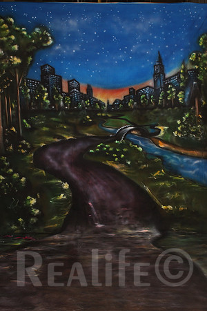 11 Central Park Night 2
