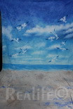 12 Blue Beach