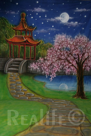 13 Asian Twilight 2