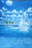 12 Tropical Island Boat