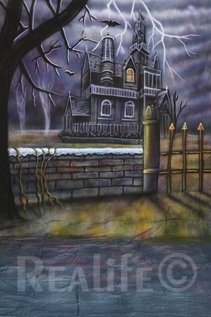 18 Haunted House 3