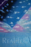 24 Waving Flag