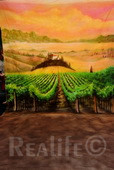 27 Italian Vinyard