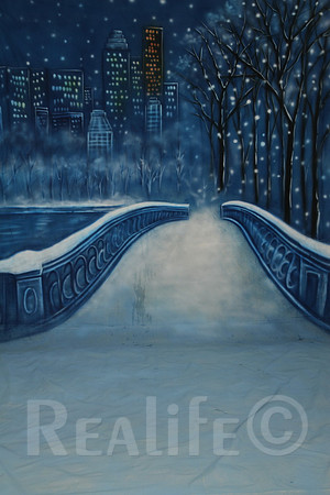 28 Winter Bridge 2