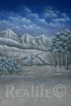29 Snowy Mountains 2