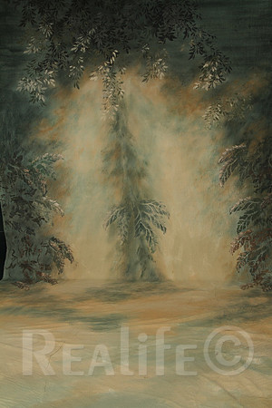 41 Deep Forest