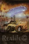 42 Fairy Forest
