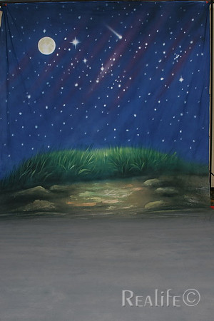 8 Stary Night with Moon 2