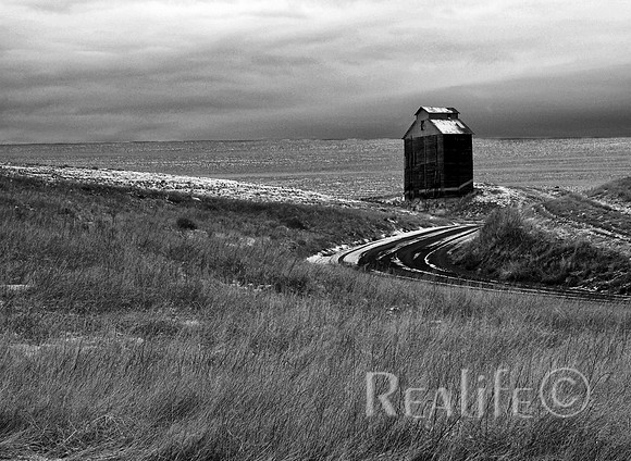 IMM01020_F_BW Sml