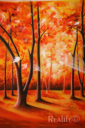 C Fall Trees 2