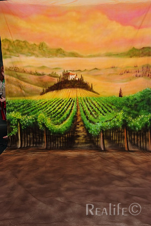 27 Italian Vinyard