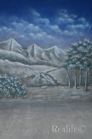 29 Snowy Mountains 2