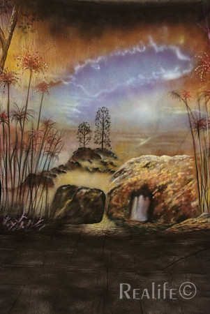 41Fairy Forest