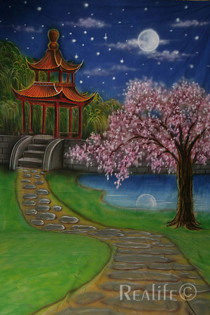 12 Asian Twilight 2