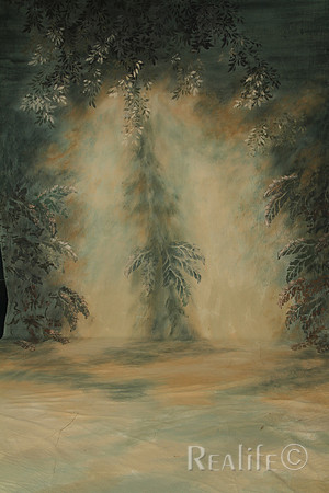 41 Deep Forest