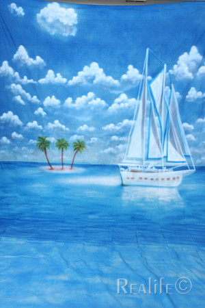 12 Tropical Island Boat