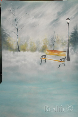 C Winter Park Bench