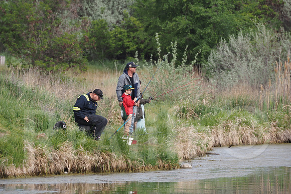 IMM00499