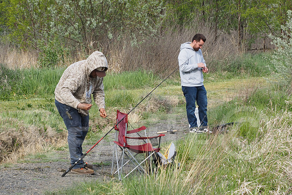 IMM00495