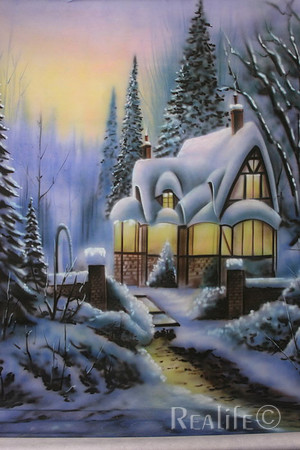 C Winter Cabin