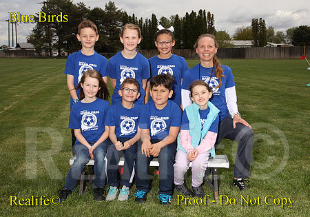 74019(1)